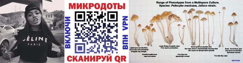 МЕГА зеркало  Петровск-Забайкальский  Псилоцибиновые грибы Magic Shrooms  сайты даркнета состав  купить наркоту 